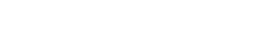 logo wt